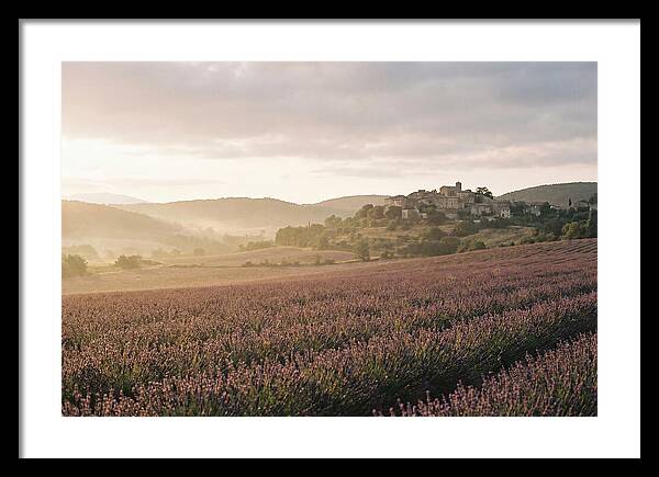 Sea Of Lavender Stretching To Distant Hills