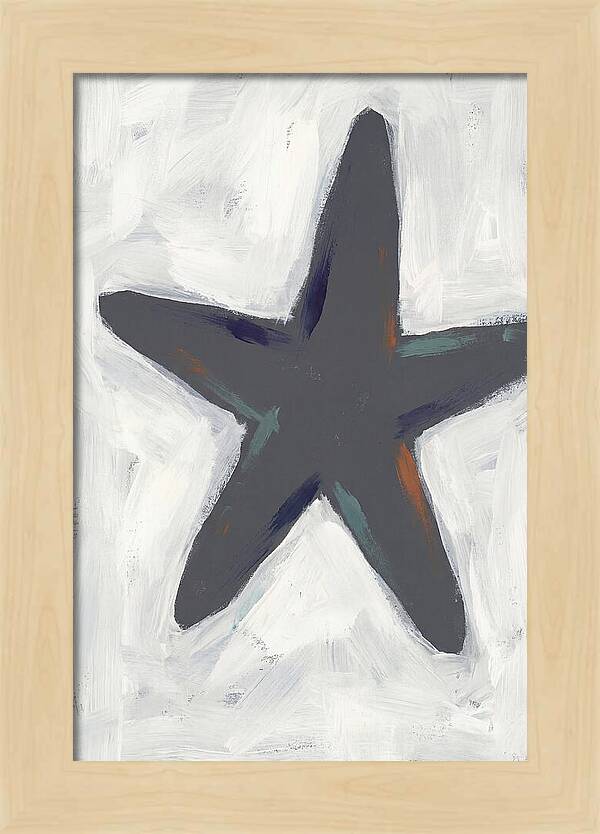 Sea Star Minimalism