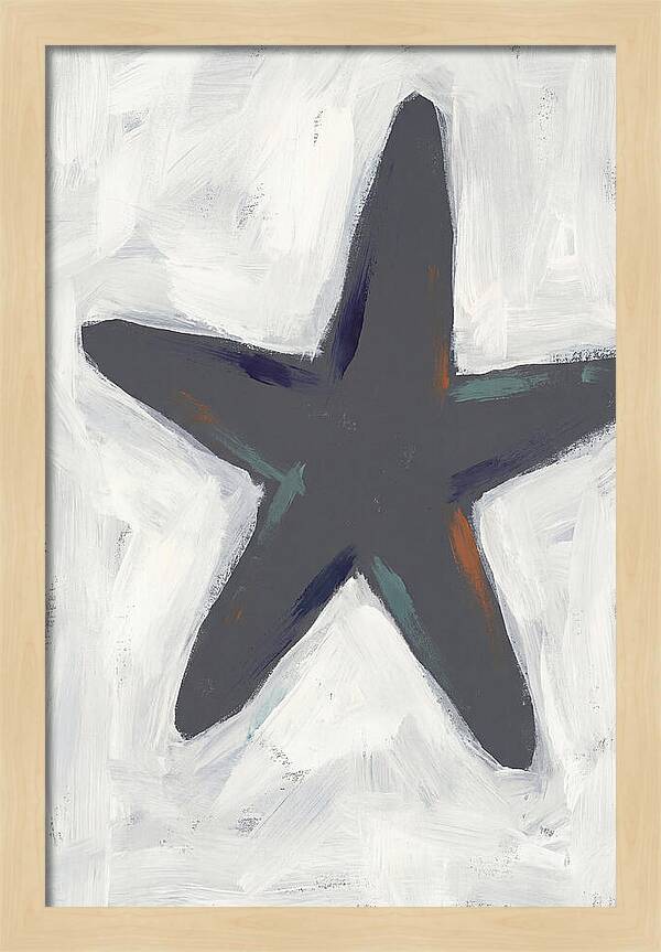 Sea Star Minimalism