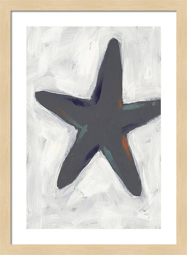 Sea Star Minimalism