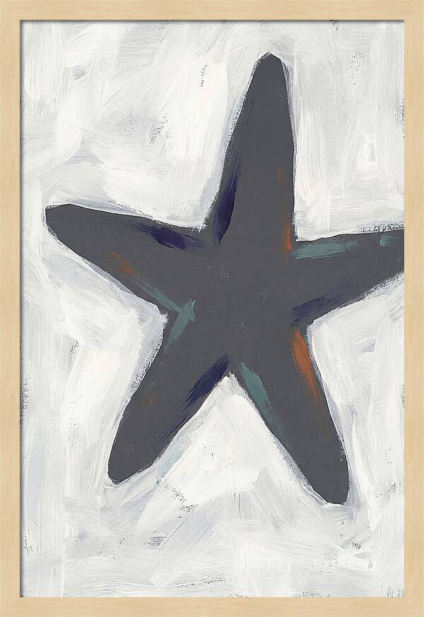 Sea Star Minimalism