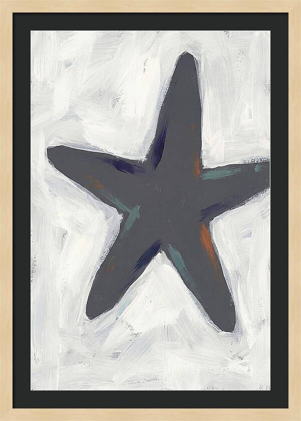 Sea Star Minimalism
