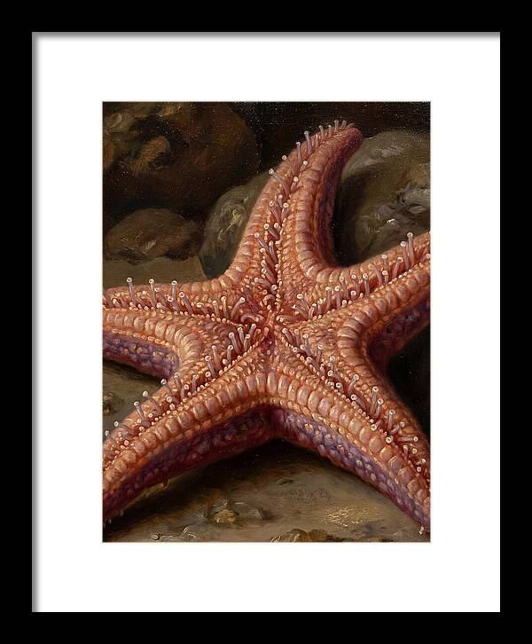 Sea Star Realism