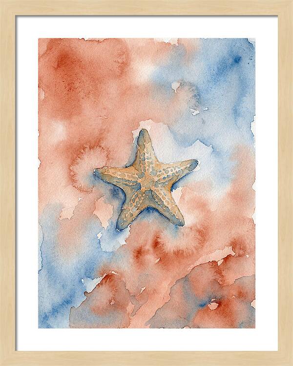 Sea Star Serenity