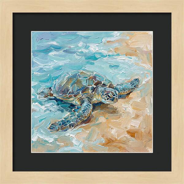 Sea Turtle By The Shore