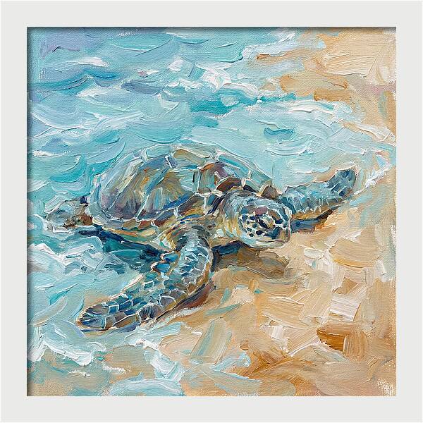 Sea Turtle By The Shore