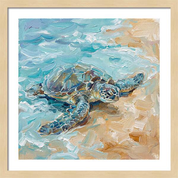 Sea Turtle By The Shore