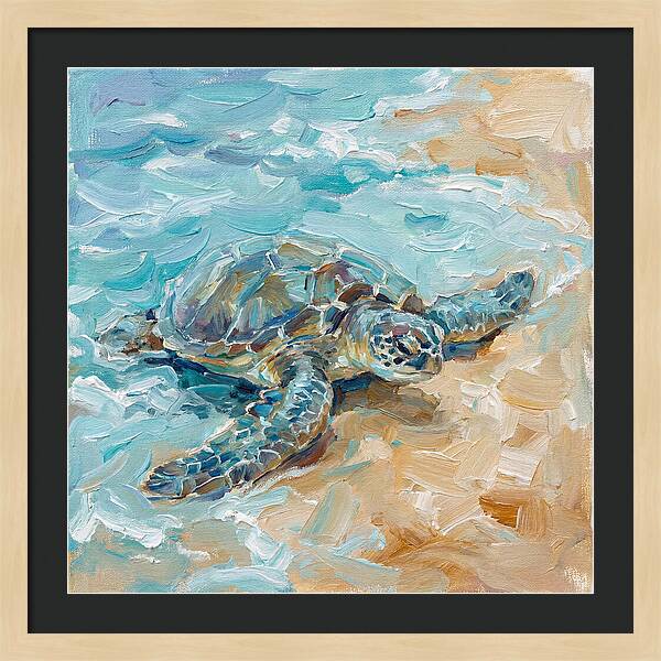 Sea Turtle By The Shore