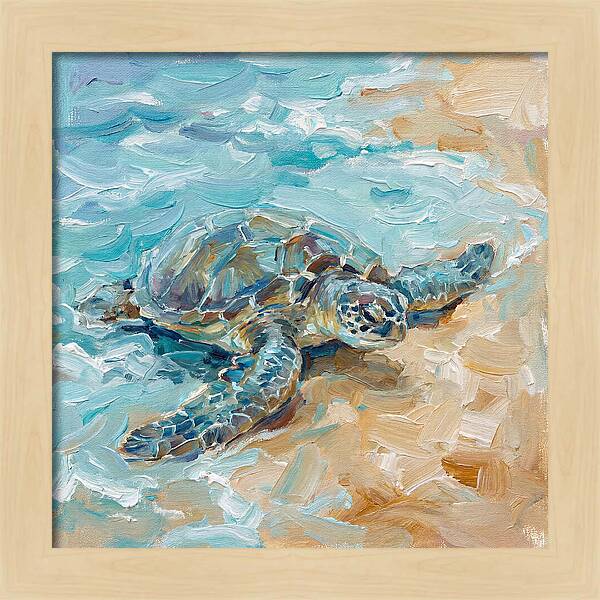 Sea Turtle By The Shore