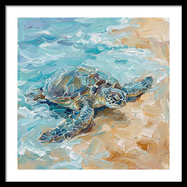 Sea Turtle By The Shore