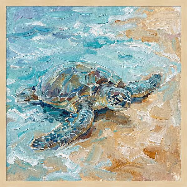 Sea Turtle By The Shore