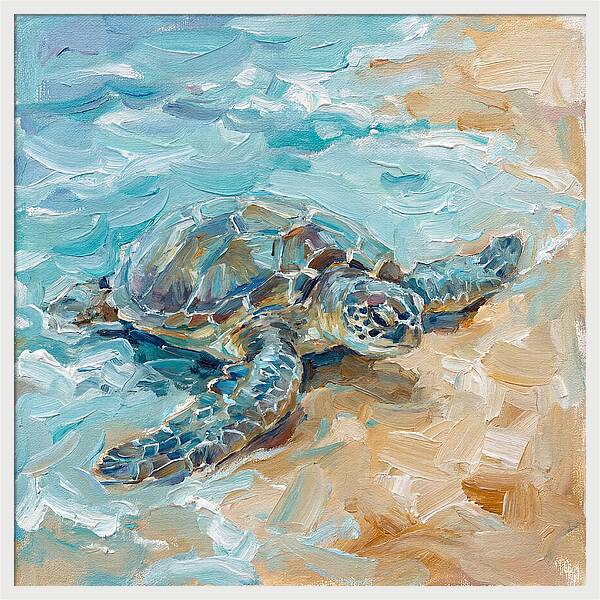 Sea Turtle By The Shore