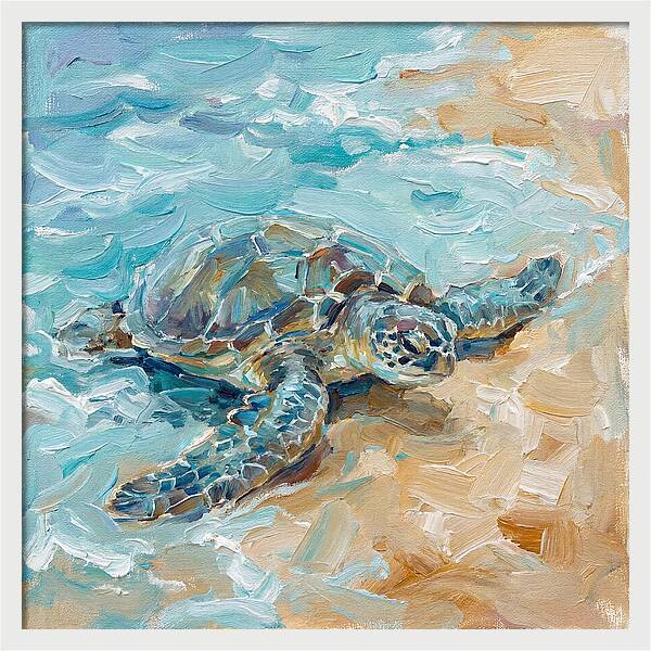 Sea Turtle By The Shore