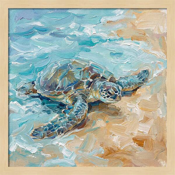 Sea Turtle By The Shore