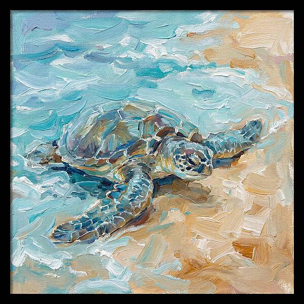 Sea Turtle By The Shore