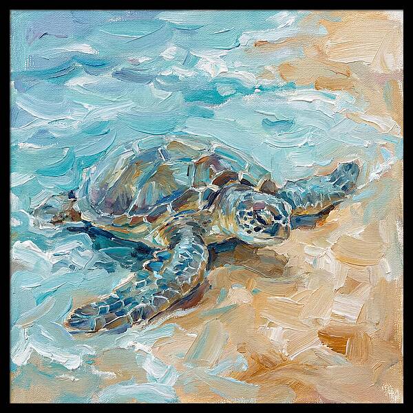 Sea Turtle By The Shore