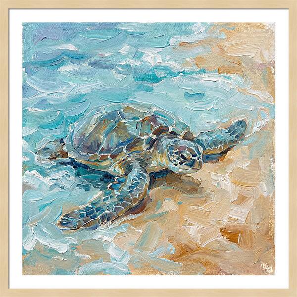 Sea Turtle By The Shore