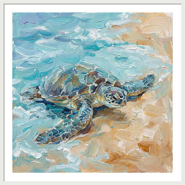 Sea Turtle By The Shore