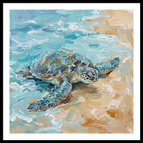 Sea Turtle By The Shore