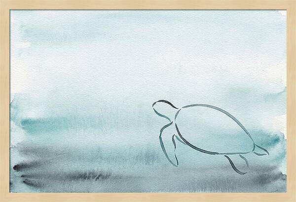 Sea Turtle Serenity