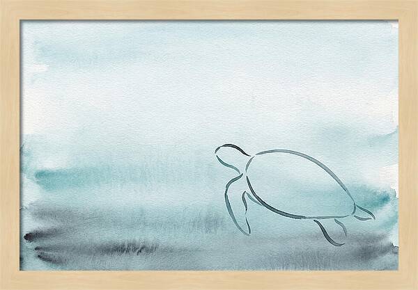 Sea Turtle Serenity