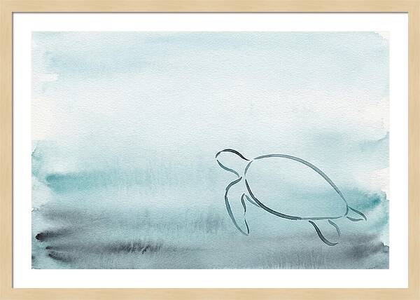 Sea Turtle Serenity