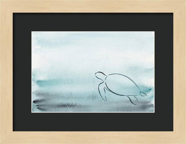 Sea Turtle Serenity