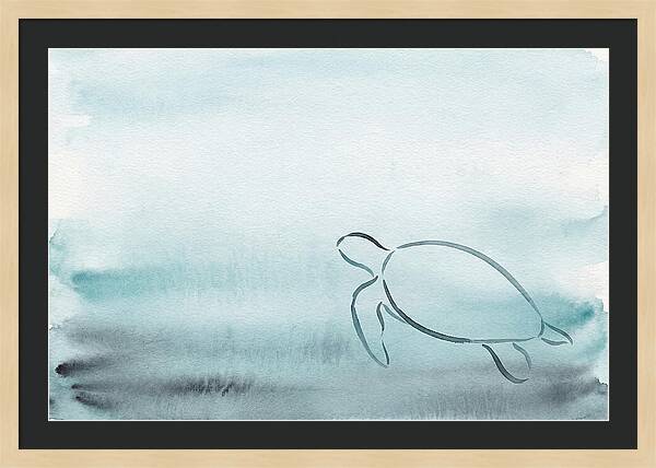 Sea Turtle Serenity