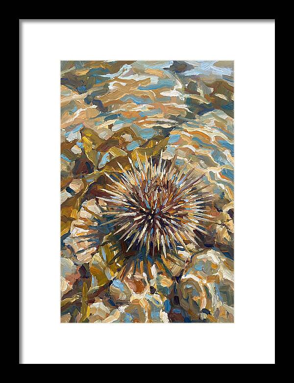 Sea Urchin Among Rocks