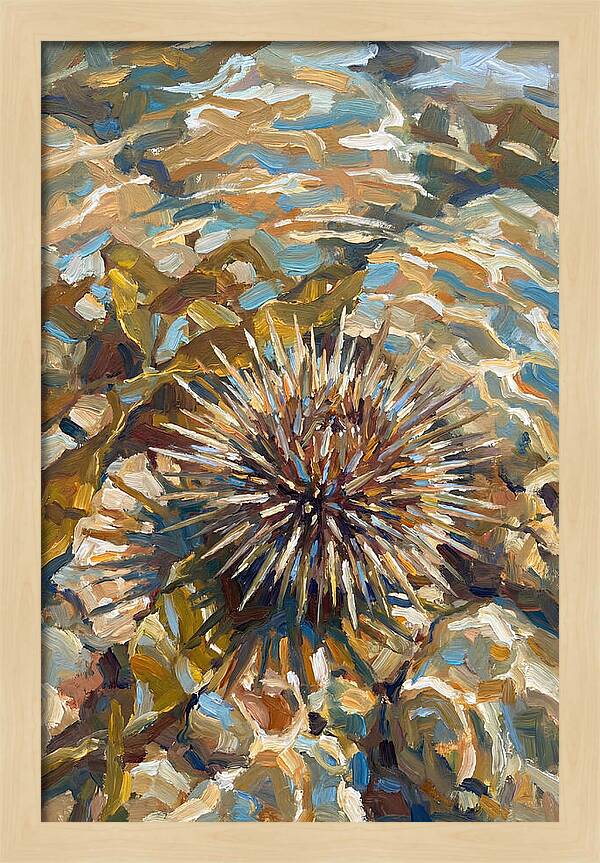 Sea Urchin Among Rocks