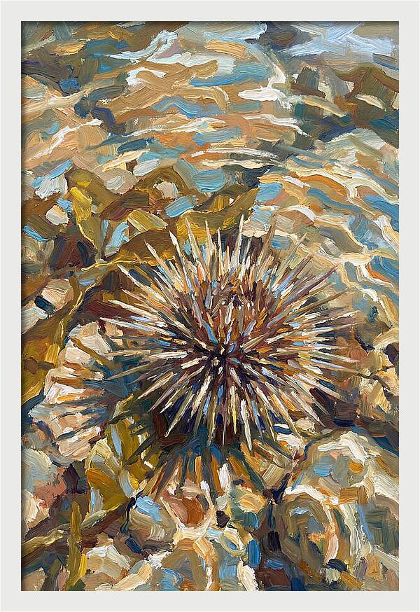 Sea Urchin Among Rocks