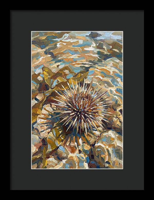 Sea Urchin Among Rocks