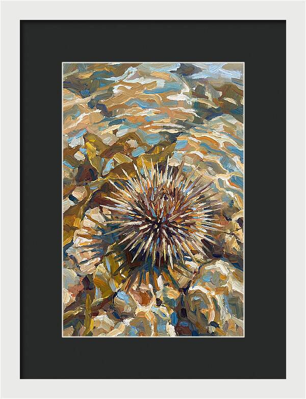 Sea Urchin Among Rocks