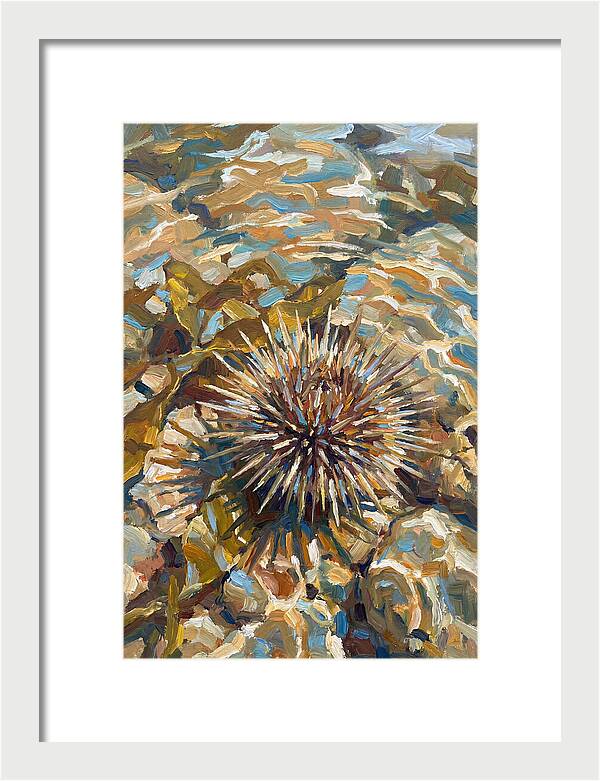 Sea Urchin Among Rocks