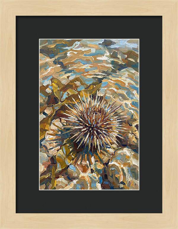 Sea Urchin Among Rocks
