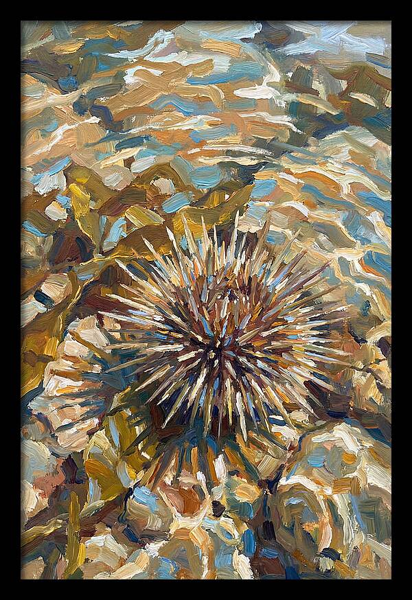 Sea Urchin Among Rocks
