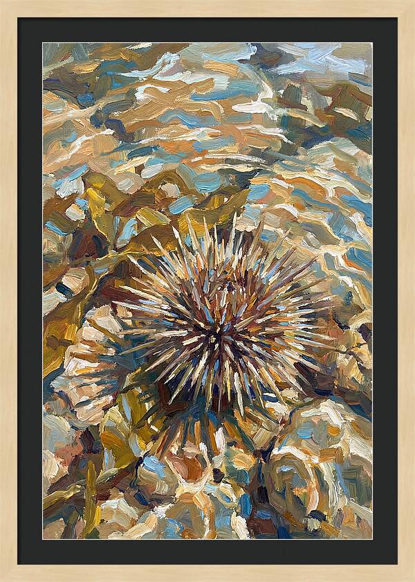 Sea Urchin Among Rocks