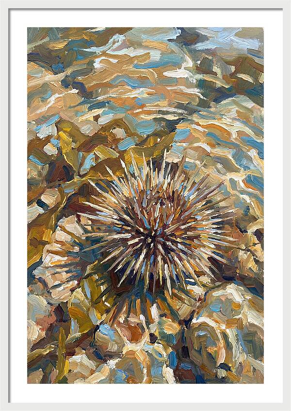 Sea Urchin Among Rocks