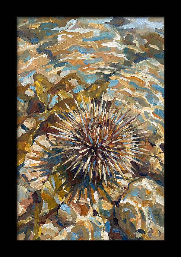 Sea Urchin Among Rocks