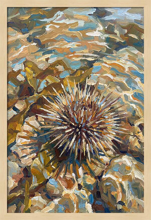 Sea Urchin Among Rocks