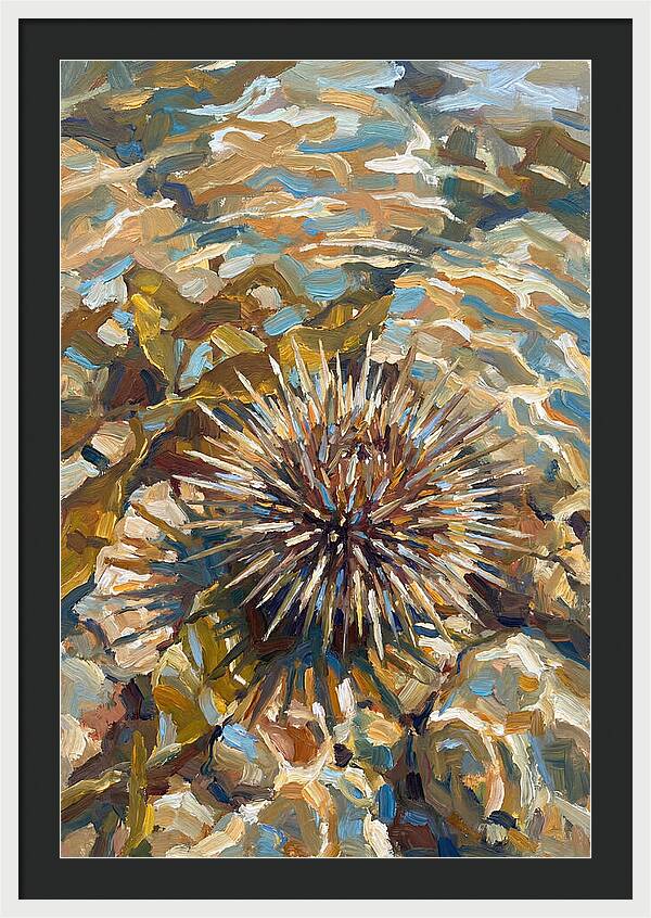 Sea Urchin Among Rocks