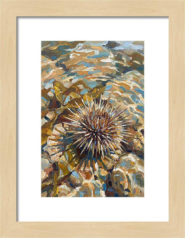 Sea Urchin Among Rocks