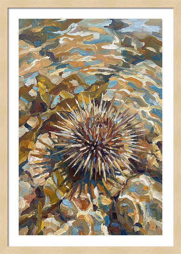 Sea Urchin Among Rocks