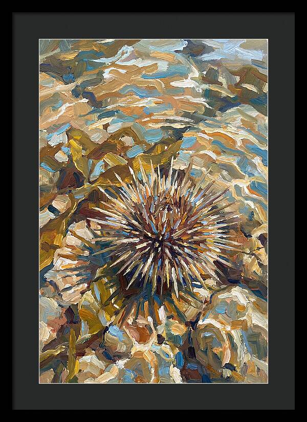 Sea Urchin Among Rocks
