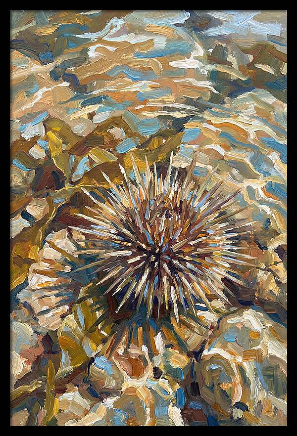 Sea Urchin Among Rocks