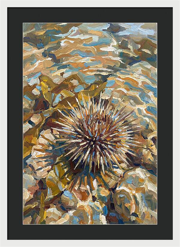 Sea Urchin Among Rocks