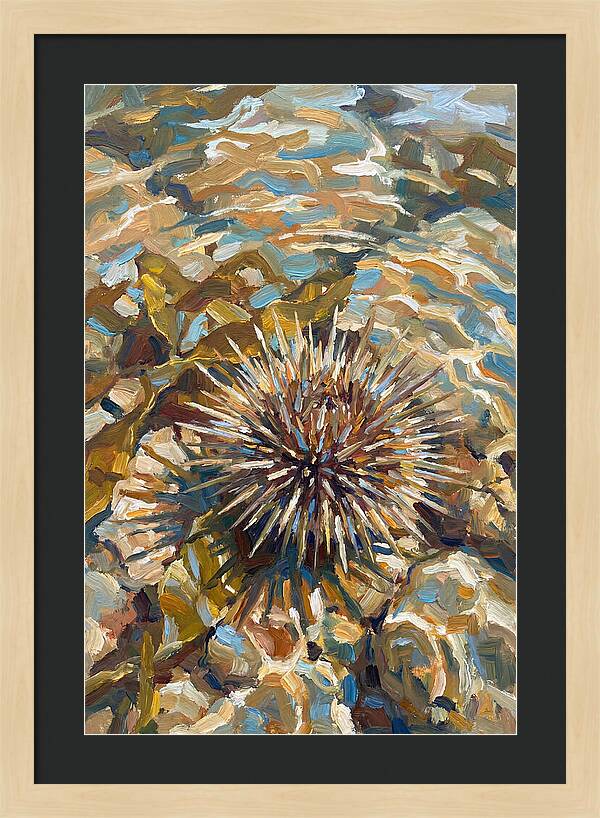 Sea Urchin Among Rocks