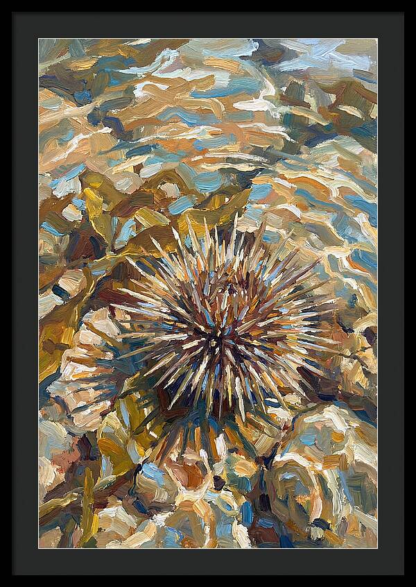 Sea Urchin Among Rocks
