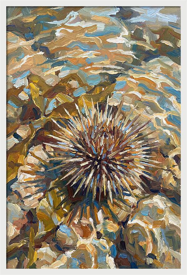 Sea Urchin Among Rocks