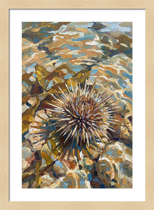 Sea Urchin Among Rocks